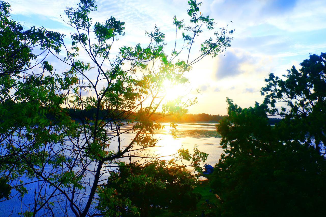 Diya Dahara Lake Resort Yala Eksteriør bilde